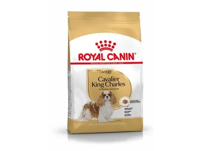 Rc Cavalier King Charles 1.5 kg