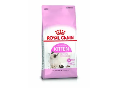 Rc Kitten Second Age 2 kg