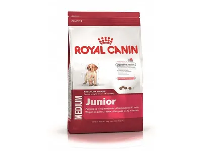 Chiot Moyen Rc 4 kg