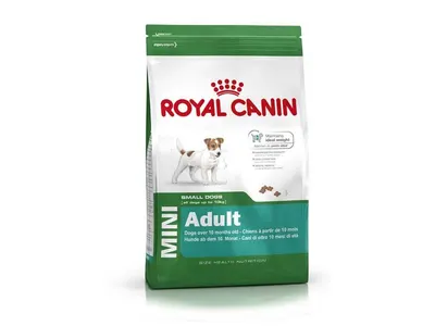 Rc Mini Adulte 2 kg