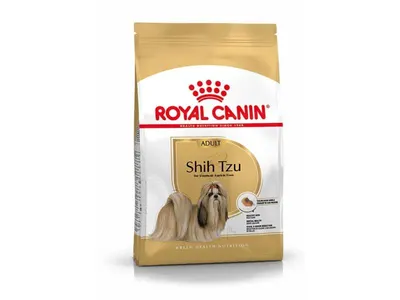 Rc Shi-Tzu Adulte 1.5 kg