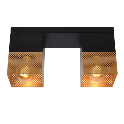 Renate Plafonniere-Mat Go.-2xe27-40w-Metaal 2