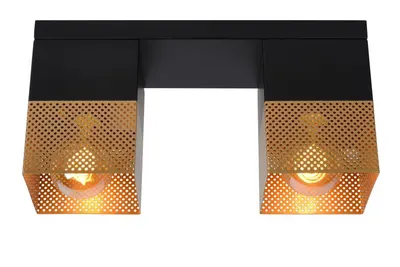 Renate Plafonniere-Mat Go.-2xe27-40w-Metaal 1