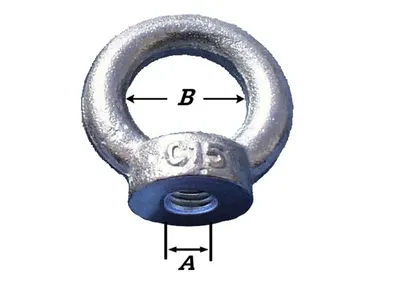Ring Nut Zinc Plated M8