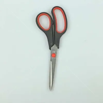 Schaar 17 cm 1