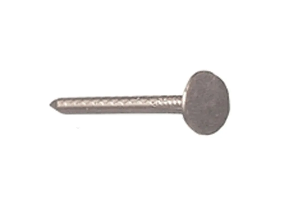 Schalienagels, Brede Kop 10 mm 3 X 20 mm
