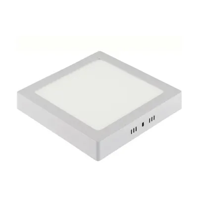 Selena-24 3cct/24w Wh 3cct160-265v Ld 2