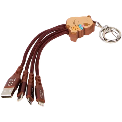 Sleutelhanger Oplaadkabel Usb Div 3