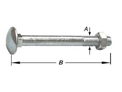 Carriage Bolts with Nut, Zinc Plated M5 X 40 mm