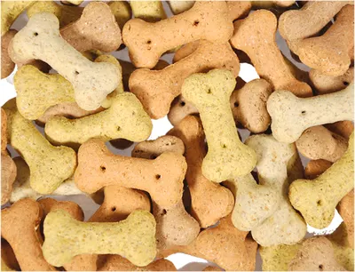 Snack Hond Biscuits Bones Mix 500 g 4