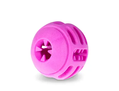 Speelgoed Bal Red Frutti Hond 4