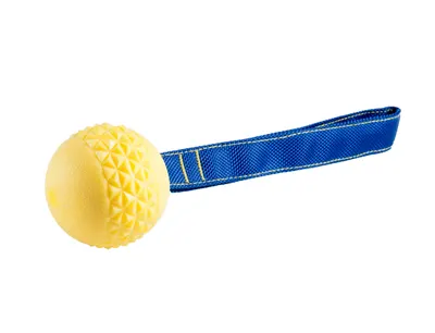 Speelgoed Hond Bal Touw 1