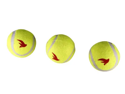Balle de Tennis pour Chien Jouet 5 cm 3pcs 2