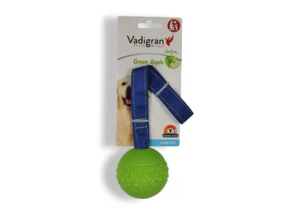 Spg Hond Bal met Touw Groen 4