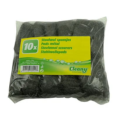 Steel Wool Sponge 2