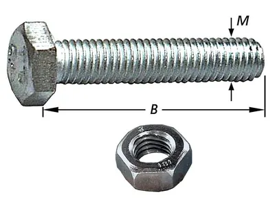 Tap Bolts with Nut, Zinc Plated M4 X 40 mm