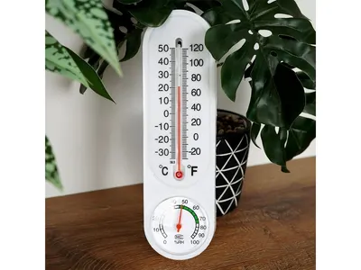 Thermometer met Hygrometer 22 cm 3