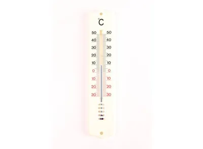 Thermometer Plastiek 21 cm 101032 (10) 1