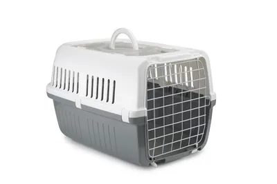 Transport Bak Zephos2 Grijs 2