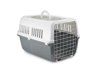 Transport Bak Zephos2 Grijs 1