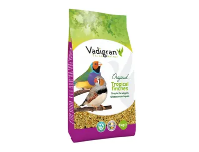 Tropische Vogels 1 kg 1
