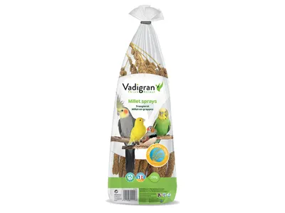 Vadigran Spray Millet Jaune Français 250gr
