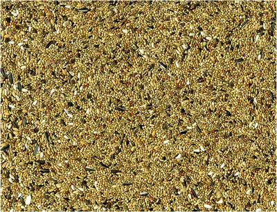 Vadigran Grandes Perruches 1 kg 2