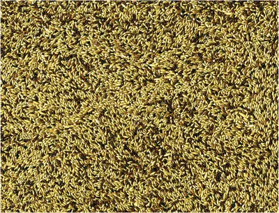 Vadigran Menu Canaries 1 kg 3