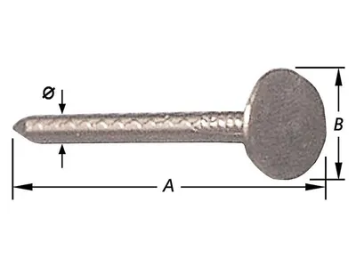 Galvanized Nails Wide Head 3 X 20 mm